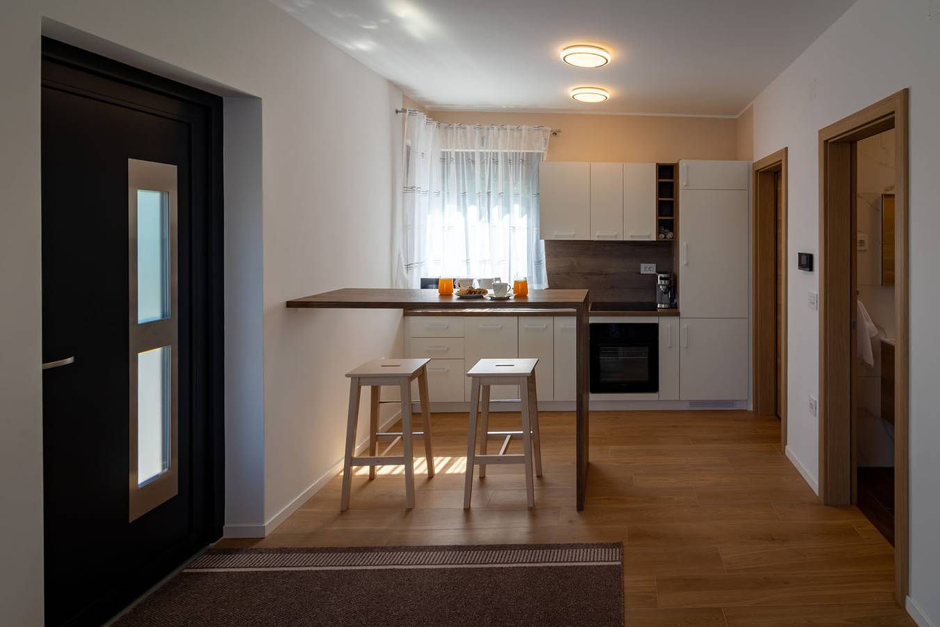 Vineyard Home 15 in Varazdin