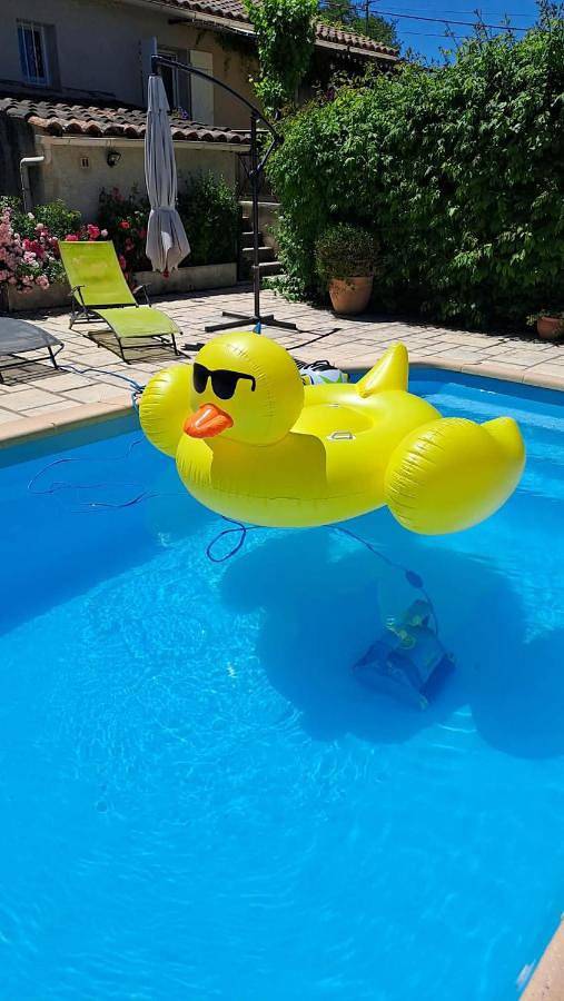 Location de vacances pour 6 personnes, avec jardin ainsi que vue et piscine, animaux acceptés à Dauphin (homonymie) - 4