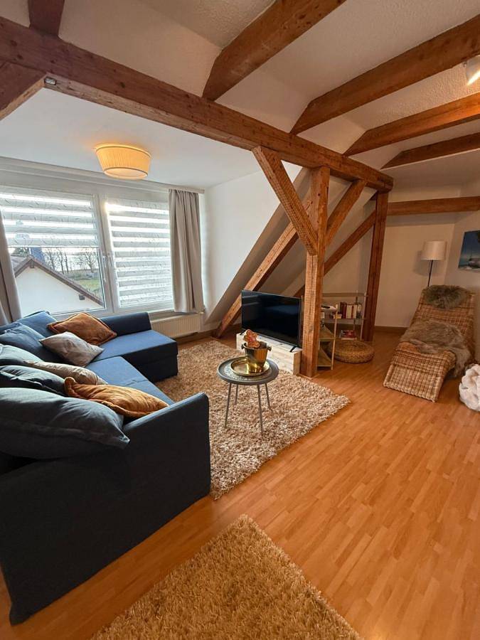Ferienwohnung für 4 Personen, mit Balkon und Ausblick sowie Seeblick in Senftenberg