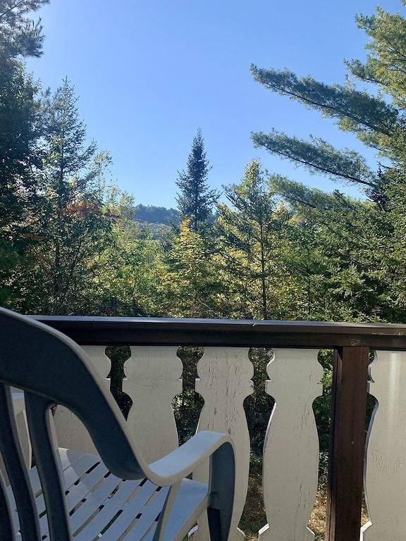 Mountain Chalet -Storyland & Outdoor fun awaits! Hiking, golf, shopping, dining! in Bartlett, White Mountain National Forest