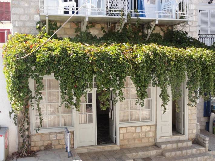 Maison d’hôte pour 2 personnes, avec vue et terrasse, animaux acceptés à Hydra - 4