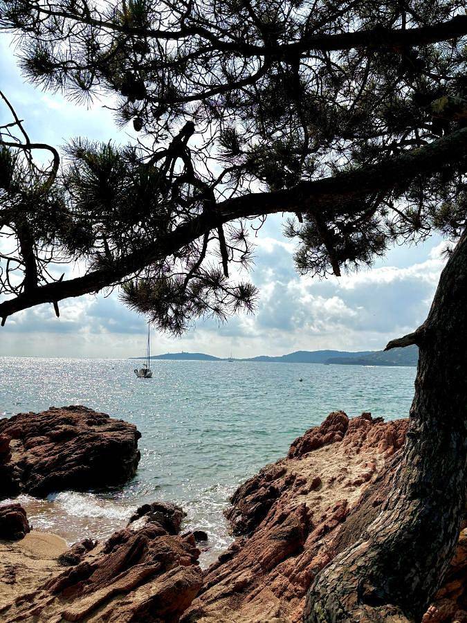 Location de vacances pour 6 personnes, avec Terrasse et Jardin dans Plage de Benedettu