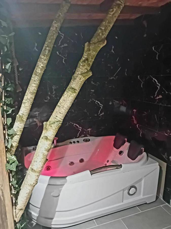 Gîte pour 2 personnes, avec Jacuzzi et Terrasse dans Winnezeele - 3