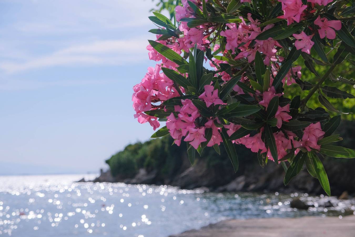 Ganze Wohnung, Ferienwohnung für 6 Personen mit Garten in Pilion