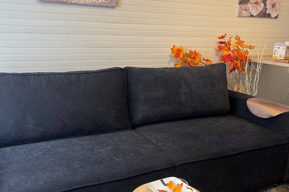 Appartement entier, Appart T2 avec jardinet hyper centre in Poitiers, Vienne (France)