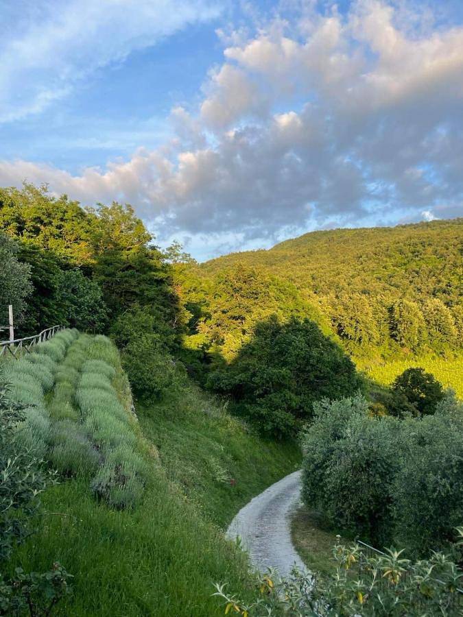 Agriturismo Podere Querceto in Rufina, Prowincja Florencja