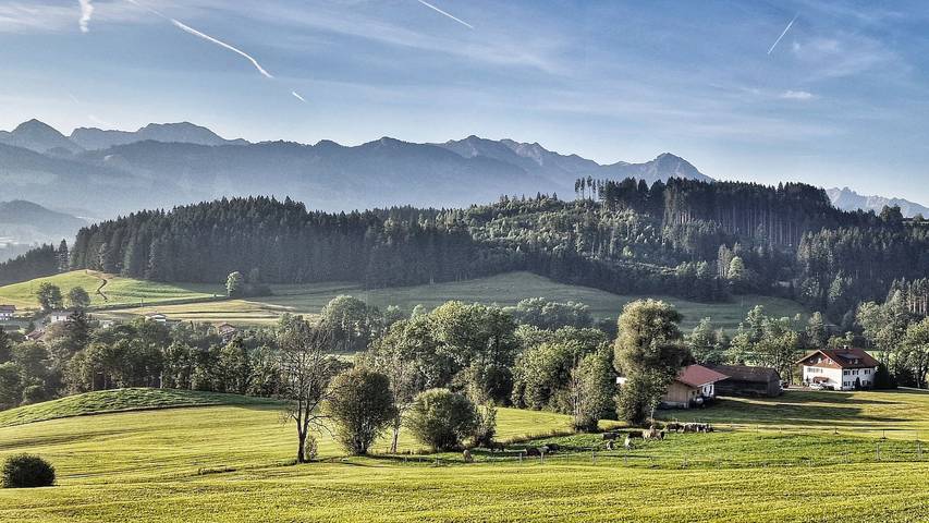Alpe 44 in Ofterschwang, Bayerisch Schwaben