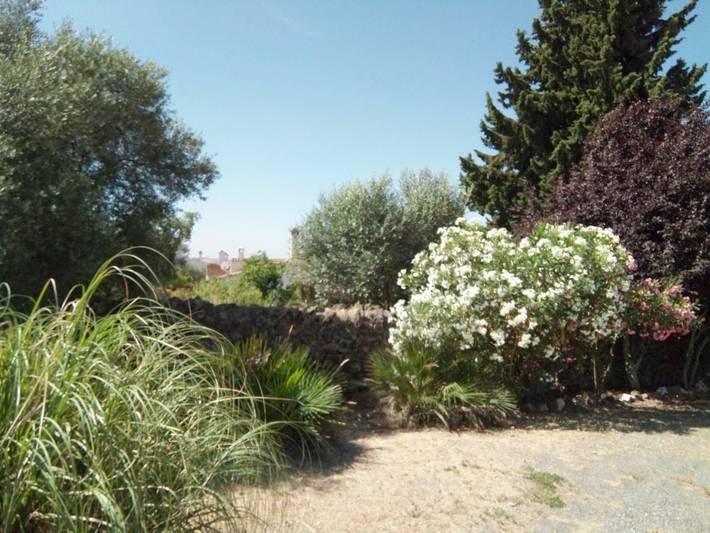 Casa rural para 4 personas, con Terraza además de Jardín y Piscina en Berrocal - 4