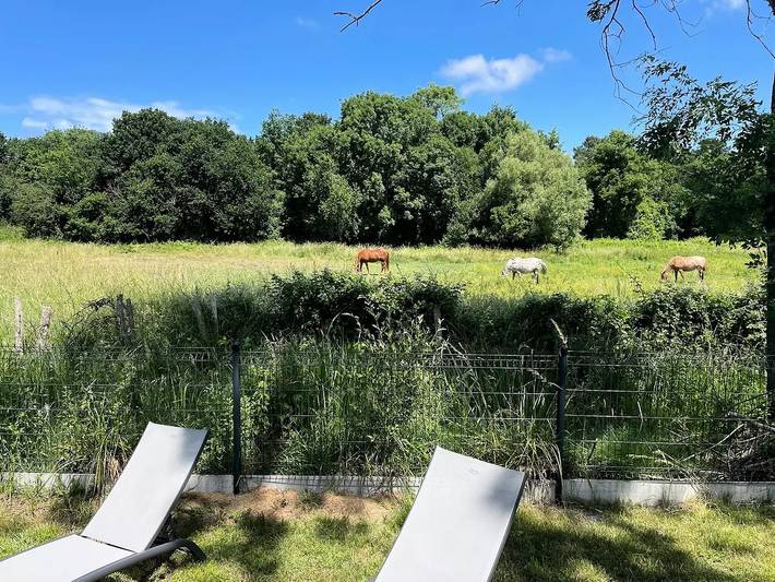 Mobilheim - 2 schlafzimmer Df19 4 Personen in Les Mathes, Côte de Beauté