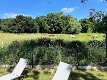 Camping pour 4 Personnes dans Les Mathes, Région de Rochefort, Photo 4