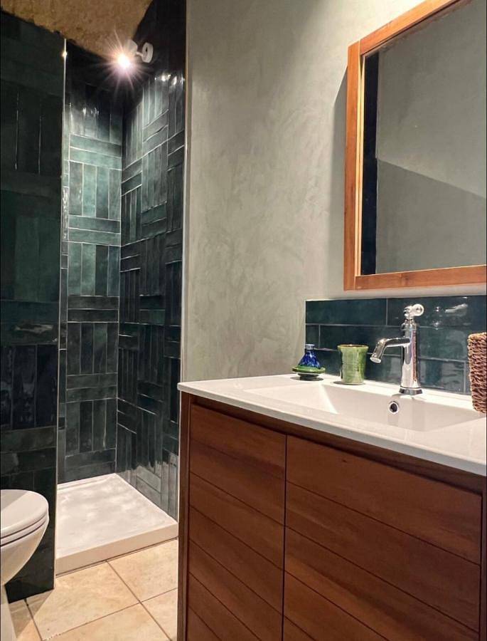 Location de vacances pour 3 personnes, avec vue ainsi que terrasse et jardin à Aubigné-Racan - 2