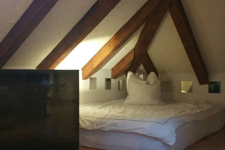 Ganze Wohnung, Charmantes Dachgeschoss im Trendviertel Zürich - See in der Nähe in Zürich Zustellkreis, Zürich