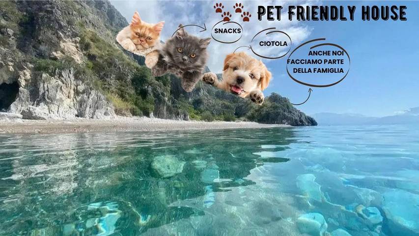 Appartamento vacanze per 4 persone, con panorama e balcone, con animali domestici - 1