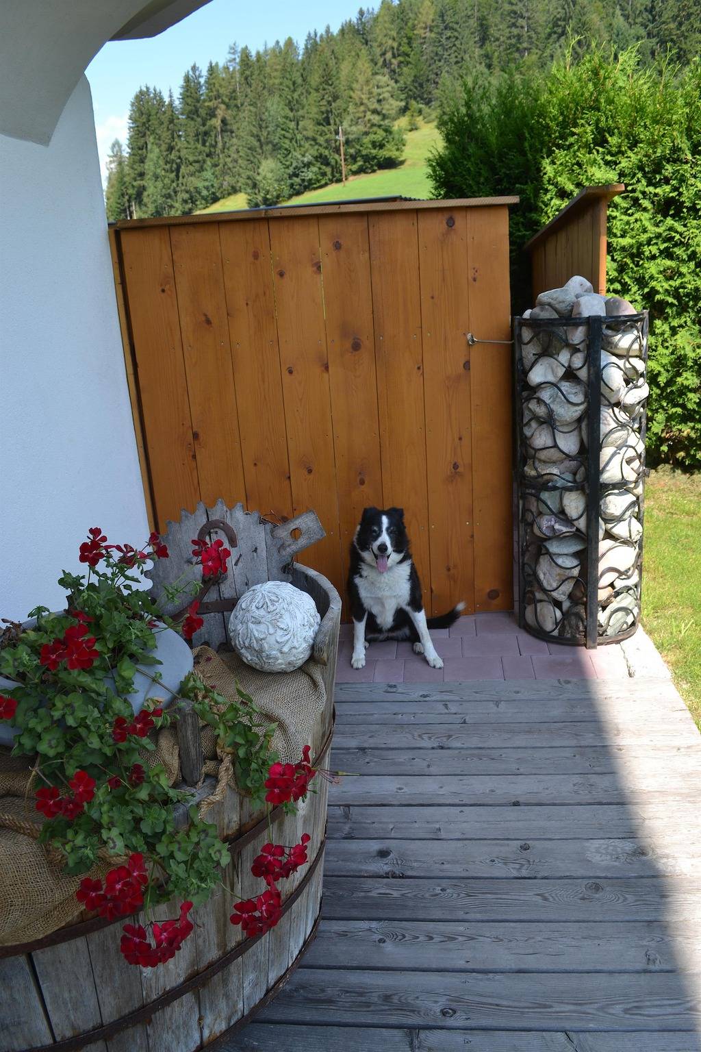 Ganze Ferienwohnung, Ferienwohnung Pusteblume in Wildschönau, Kitzbüheler Alpen