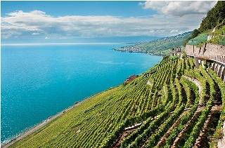 Hotel Lavaux - Double room/Twin room nord in Cully (Montreux), Bourg-en-Lavaux