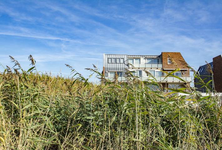 Ferienhaus für 8 Personen, mit Balkon und Sauna in Callantsoog - 4