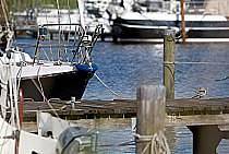 Ferienhaus für 5 Personen, mit Garten und Terrasse in Wittmund - 3