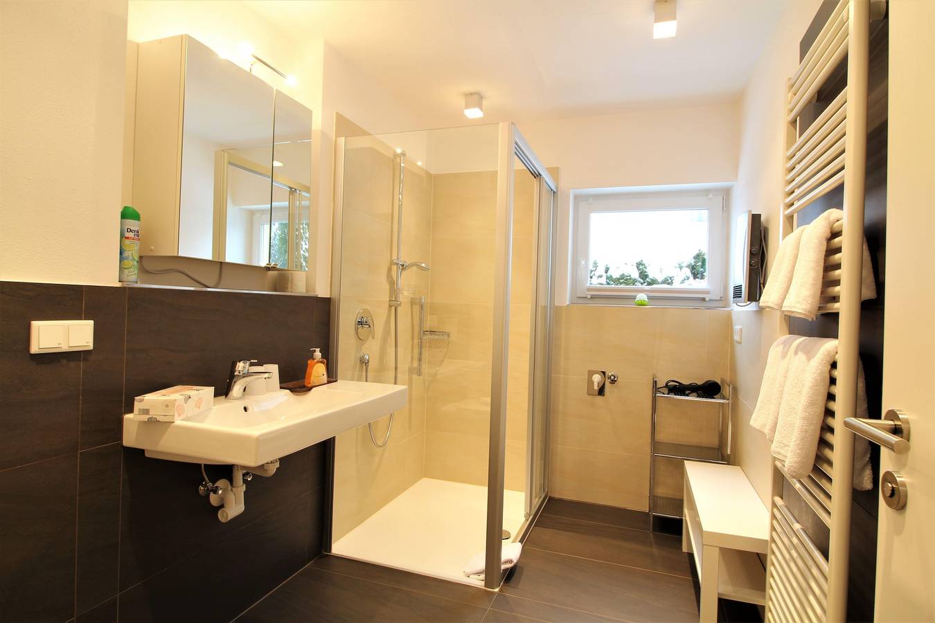 Ganze Ferienwohnung, Appartement Cilli in Neukirchen am Großvenediger, Kitzbüheler Alpen