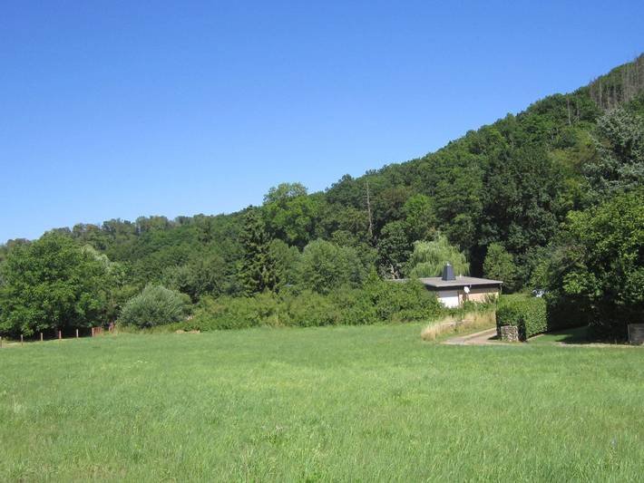 Ferienhaus für 3 Personen, mit Terrasse und Garten sowie Ausblick in Sangerhausen - 2