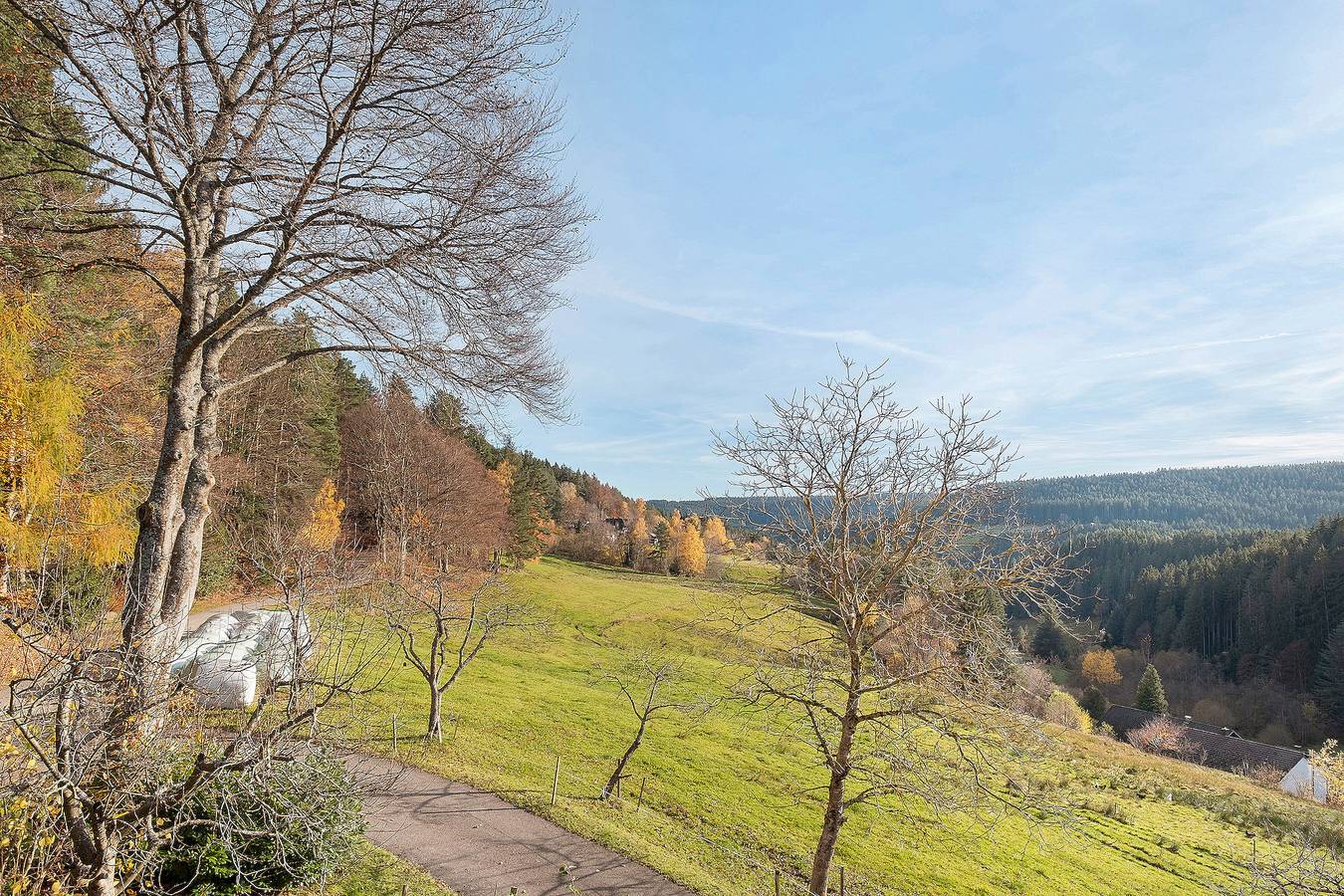 Entire apartment, Apartment 'Wiesenblick' with Shared Terrace, Shared Garden and Wi-Fi in Schramberg, Central Black Forest