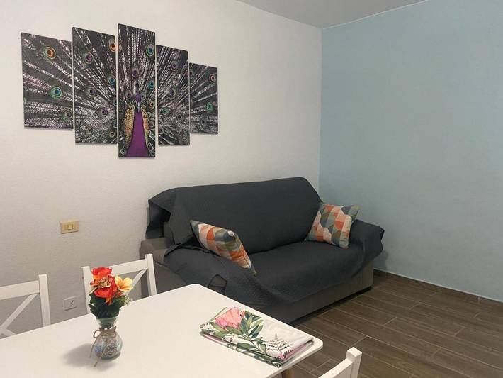 Apartamento de vacaciones para 4 personas, con terraza en Comunidad de Calatayud - 4