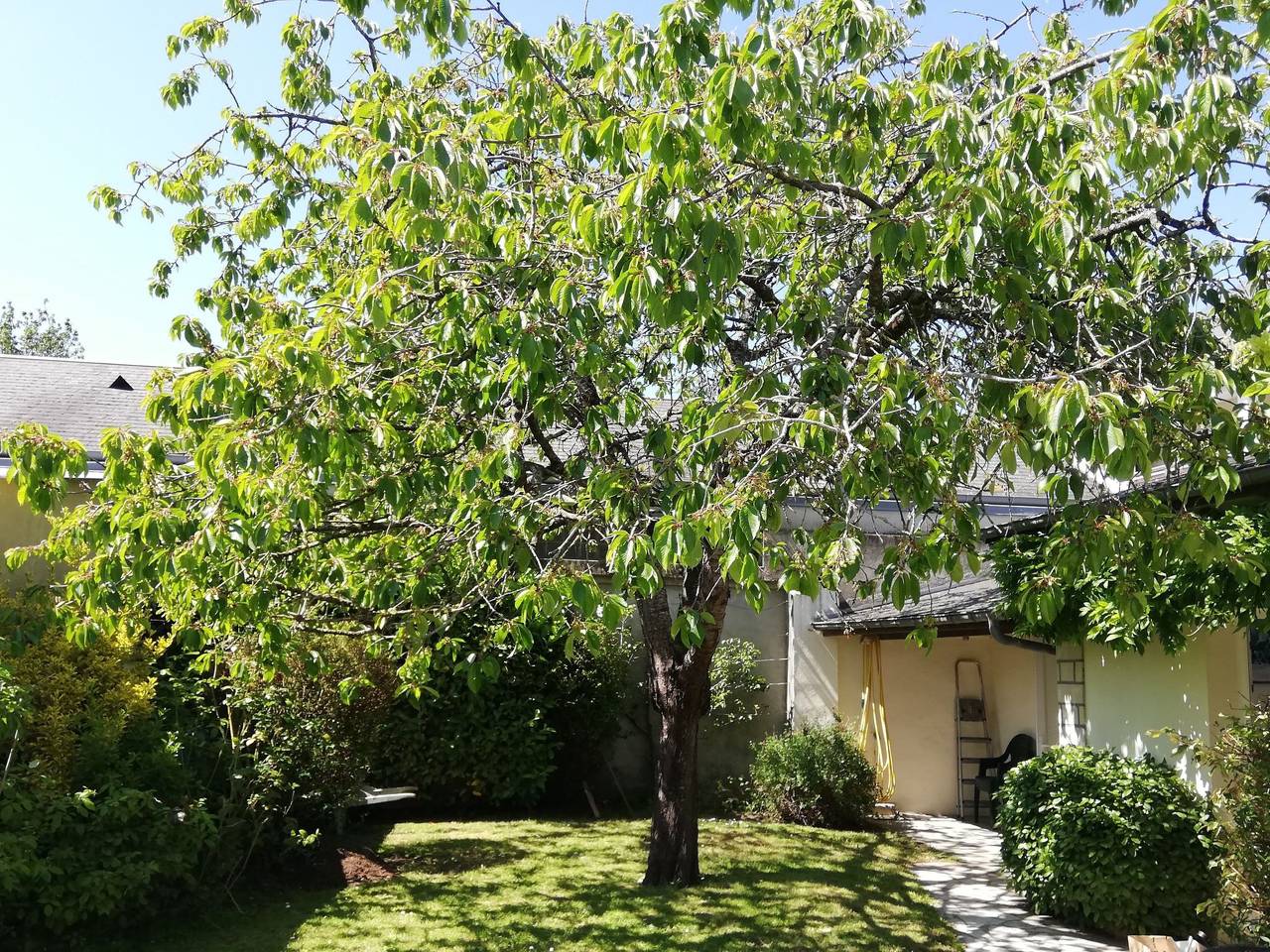Schönes Haus Isigny für 6 Personen in Saint-Benoît-de-l'Aure, Región de Bayeux