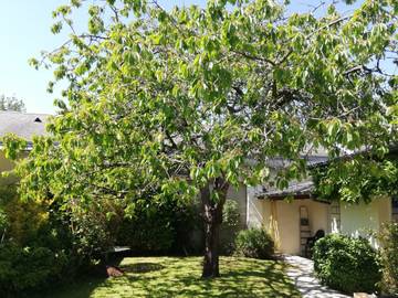 Maison De Vacances pour 4 Personnes dans Isigny-sur-Mer, Région de Bayeux, Photo 4