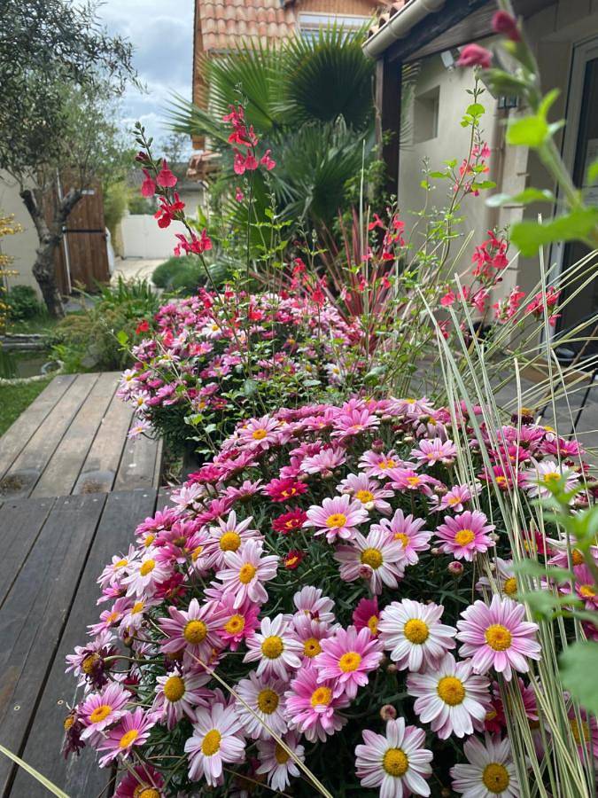 Gîte pour 4 personnes à Bègles - 2