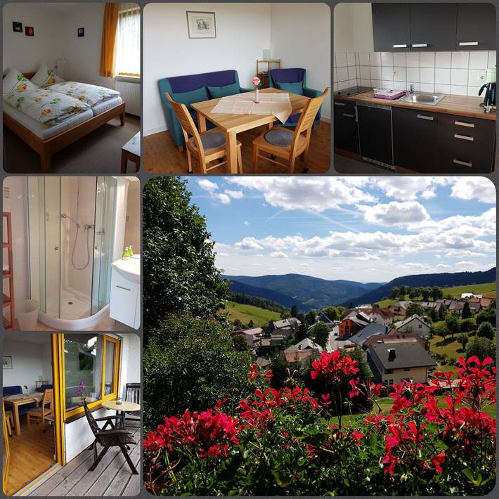 Gîte pour 2 personnes, avec jardin à Todtnau - 3