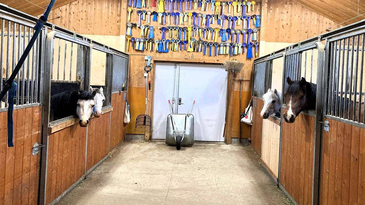 Ferienhaus für 4 Personen (135 m²) in Burträsks socken in Skelleftea, Västerbotten