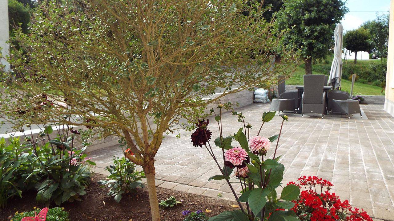 Ferienhaus für 6 Personen (130 m²) in Bolsdorf in Bolsdorf, Hillesheim