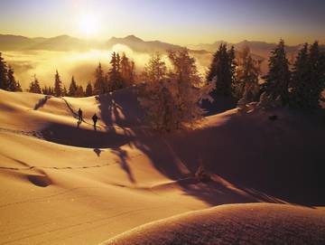 Ferienwohnung für 4 Personen in Alpbach, Ski Juwel Alpbachtal Wildschönau, Bild 4