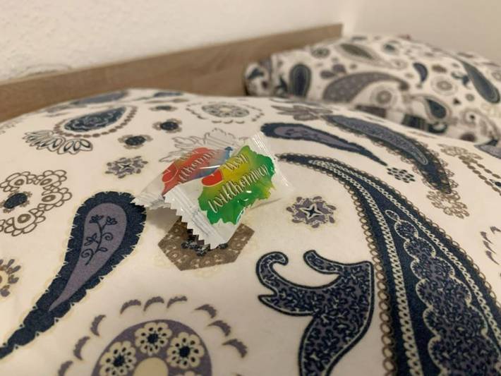 Ferienwohnung für 4 Personen, mit Garten in Rust - 3