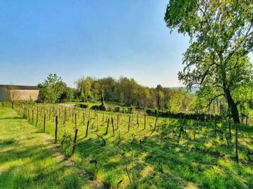 Gîte pour 6 personnes, avec piscine et jardin à Thenon