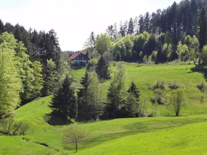 Maison de campagne pour 6 personnes, avec jardin et vue à Biederbach - 3