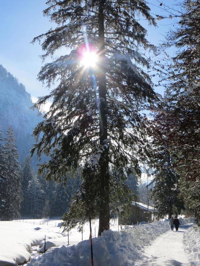 Maison d’hôte pour 2 personnes, avec vue et jardin à Inzell - 3