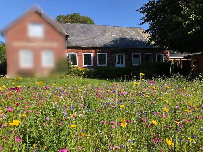 Ferienhaus für 4 Personen, mit Terrasse und Garten in Grundhof - 4