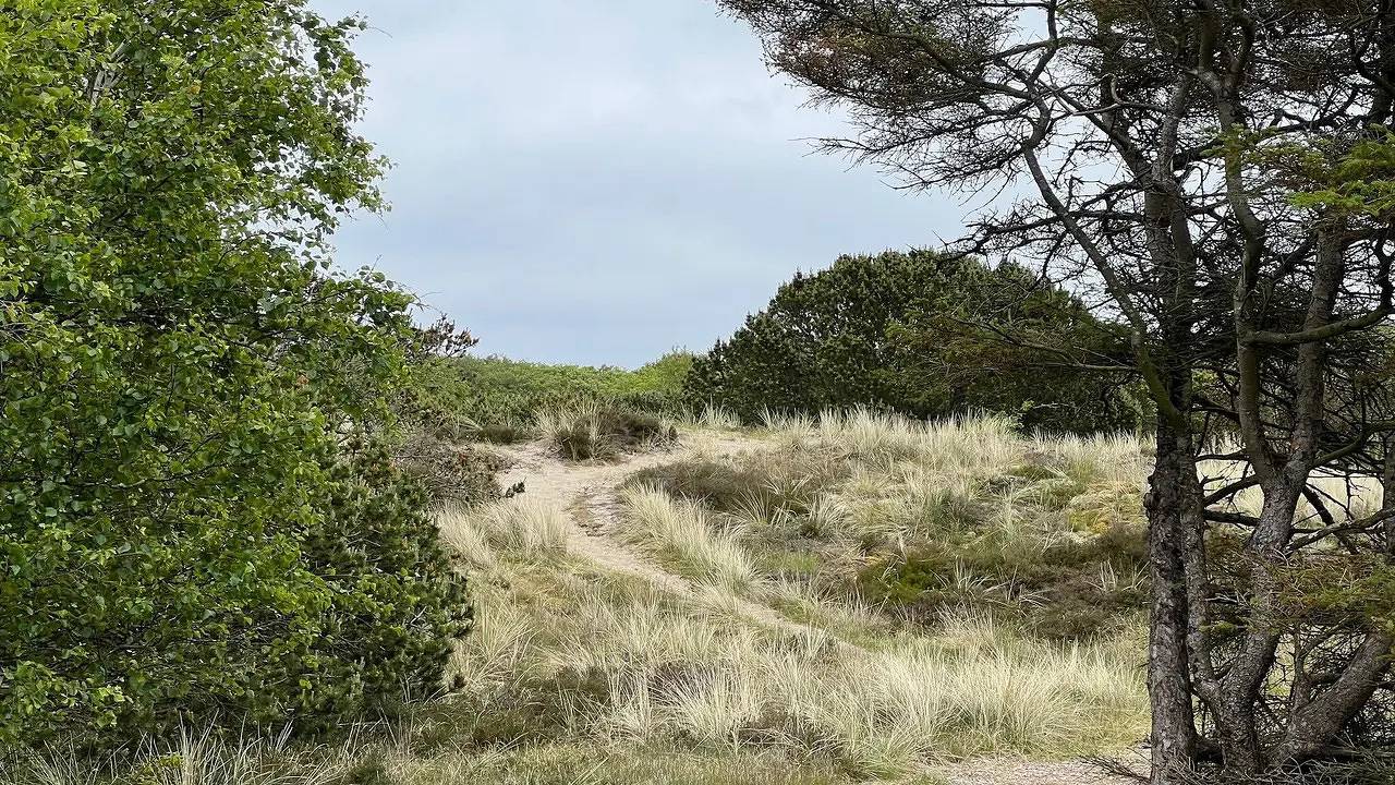 Feriehus for 5 personer med terrasse in Rindby, Wadden Sea National Park