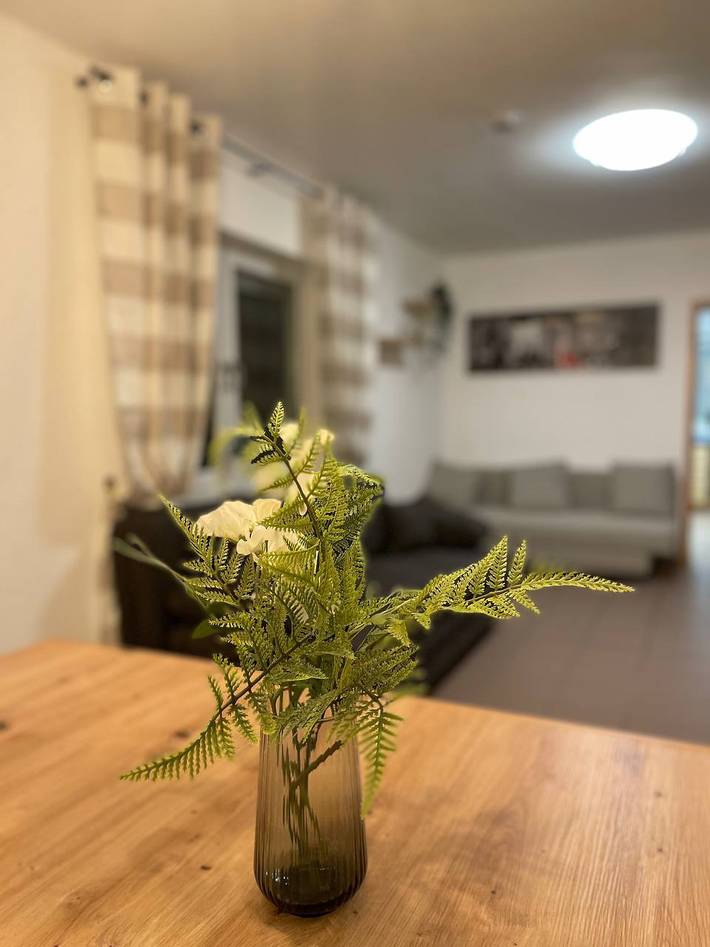 Ferienhaus für 10 Personen, mit Garten und Balkon am Mittelrhein - 4