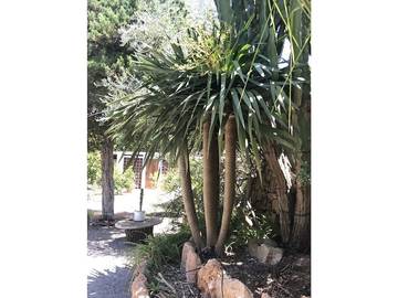 Villa in Santa Eulària des Riu, East Ibiza für 6 