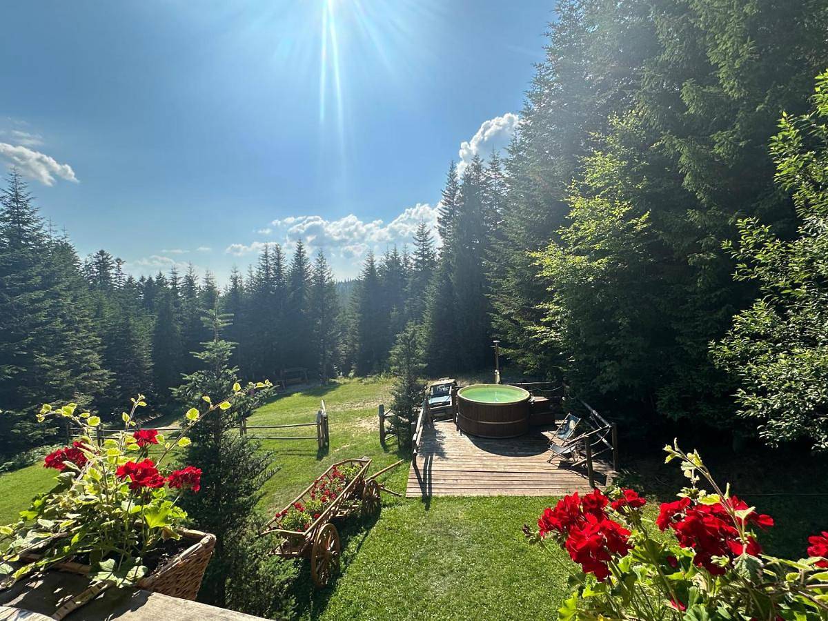 Leśna Bacówka in Nowy Targ, Karpaty (Polska)