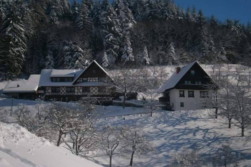 Ganze Wohnung, Ferienwohnung Apfelblüte , 50qm, 1 Schlafzimmer, max. 4 Personen in Seebach (Ortenaukreis), Mittlerer Schwarzwald