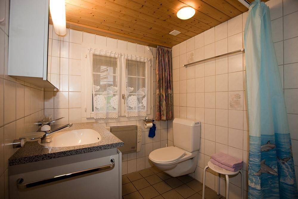 Ganze Ferienwohnung, 6.5 Zimmer Ferienwohnung Hofstatthaus in Hasliberg, Berner Oberland