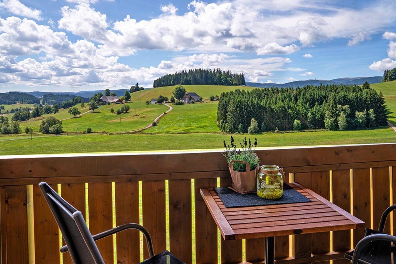 Ganze Wohnung, Ferienwohnung "Weißtanne" mit Bergblick, Gemeinschaftsgarten und Wlan in Breitnau, Südschwarzwald