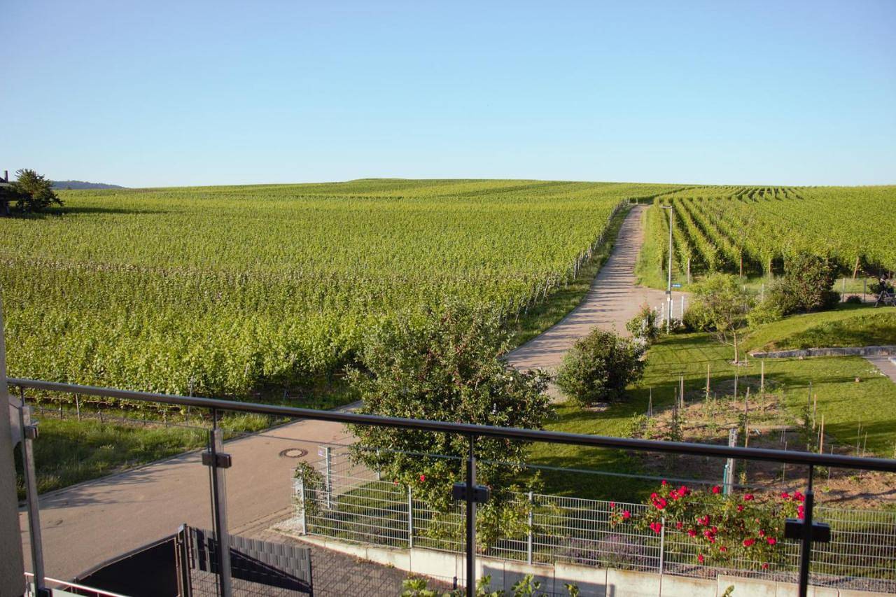 Ganze Wohnung, Apartment with Balcony in Bischoffingen, Vogtsburg im Kaiserstuhl