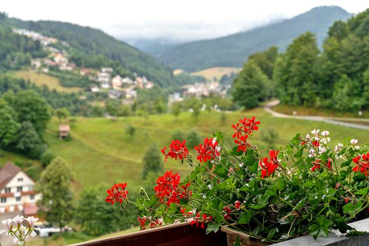 Ferienwohnung für 4 Personen, mit Garten in Bad Peterstal-Griesbach