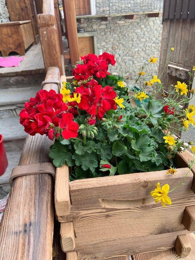 Gîte pour 2 personnes, avec terrasse dans Charvensod - 2