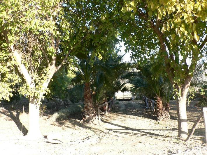 Casa rural para 15 personas, con terraza y piscina además de vistas y jardín, Se admiten mascotas en Cañete la Real - 2