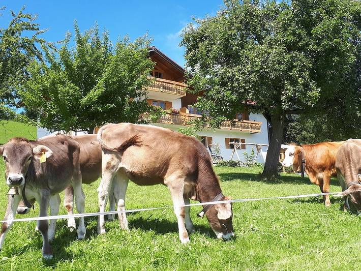 Ferienhaus für 4 Personen, mit Terrasse und Garten sowie Sauna im Oberallgäu - 4