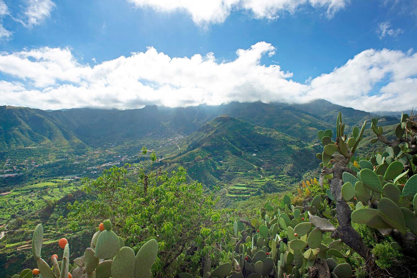 Ferienhaus „Ca' Navarro“ mit Meerblick, Terrassen und Wlan in El Montañon, Valsequillo de Gran Canaria